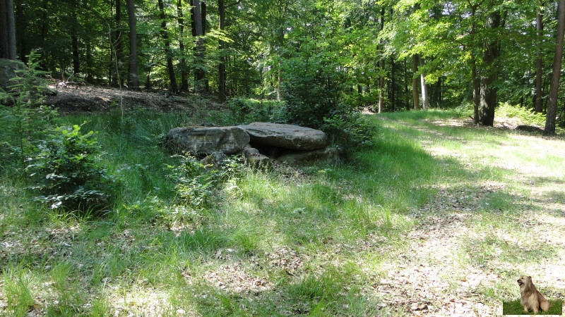 Ritterstein Nr. 150-5 Hohlog.JPG - Ritterstein Nr.150  Hohlog                               